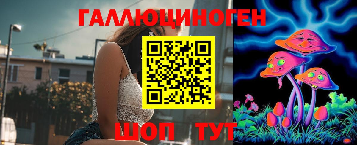 Большой Камень  Псилоцибиновые грибы Psilocybe  Вход с VPN 