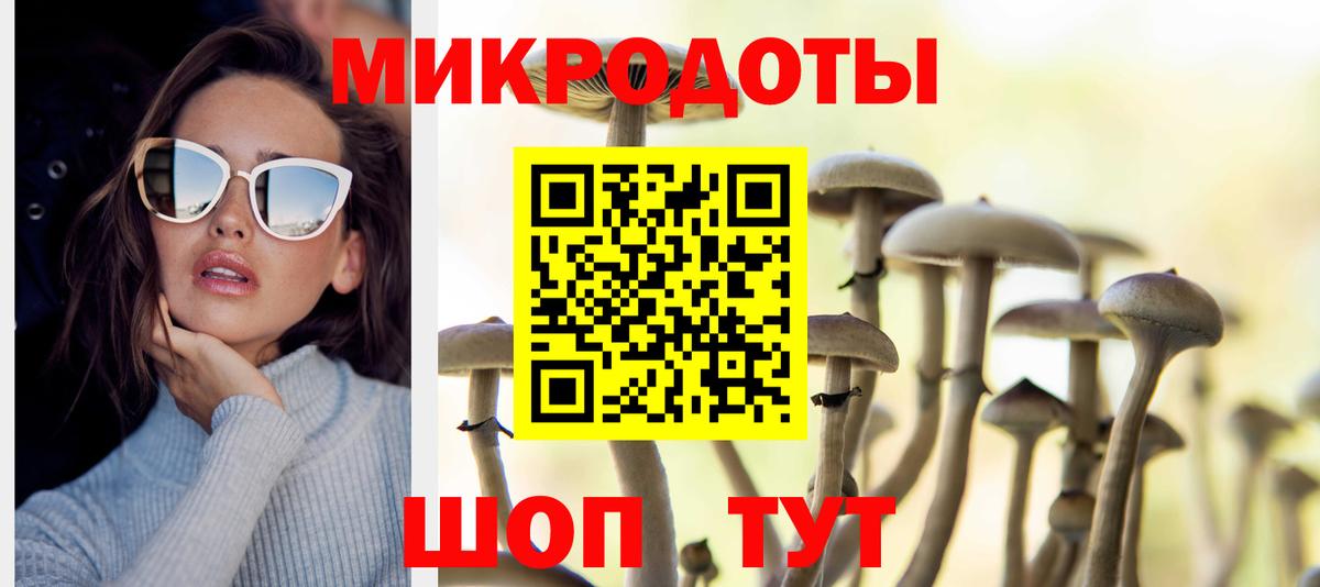 Галлюциногенные грибы MAGIC MUSHROOMS Большой Камень